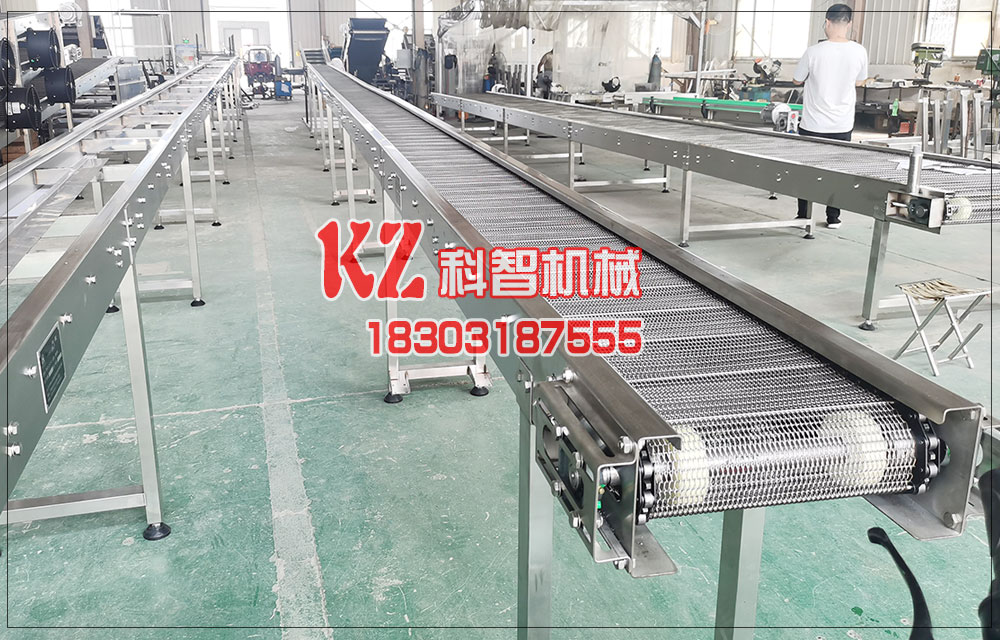 輸送線網鏈輸送機